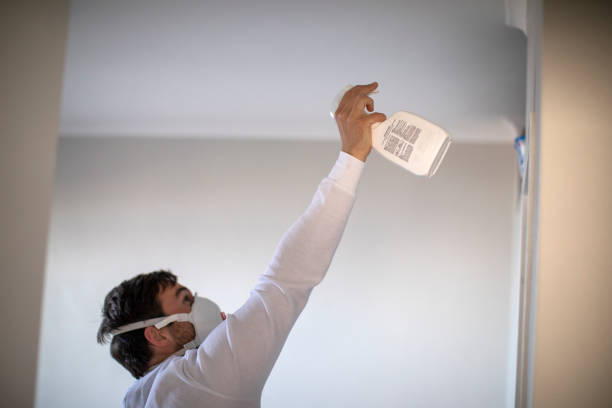 Water Damage Restoration in Alondra Park, CA